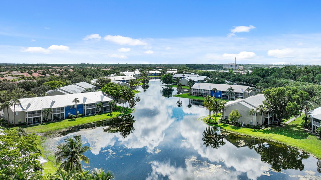 an aerial view of a flooded neighborhood with palm trees and houses