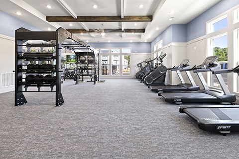 a gym with cardio equipment and weights on the floor