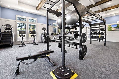 a gym with weights and exercise equipment in a luxury home