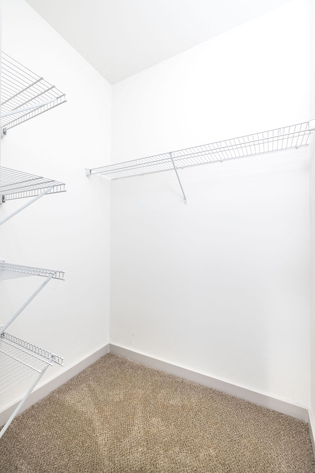 Empty room with shelves and carpeted floor.