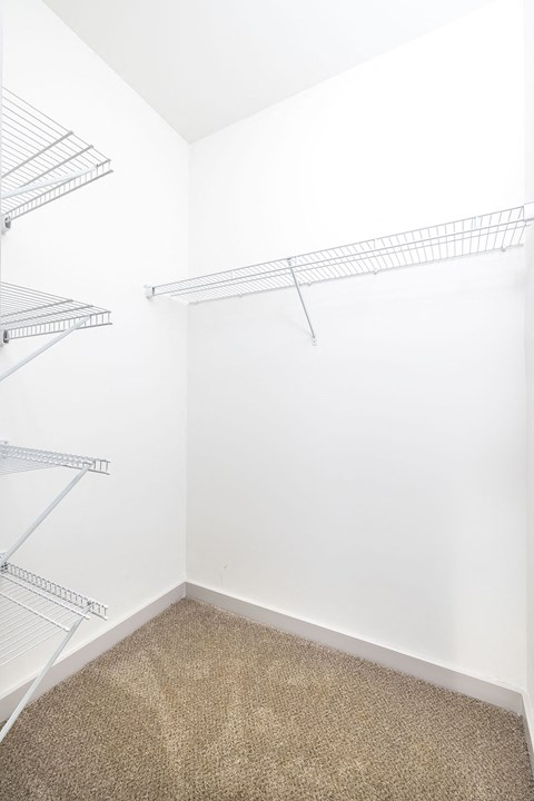 Empty room with shelves and carpeted floor.