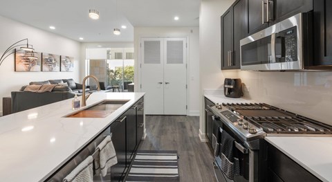 A modern kitchen with black cabinets and stainless steel appliances.