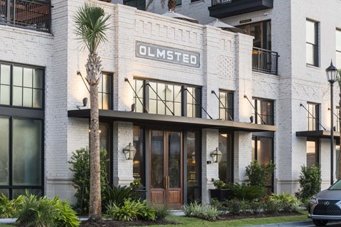 Olmsted building with a palm tree in front.