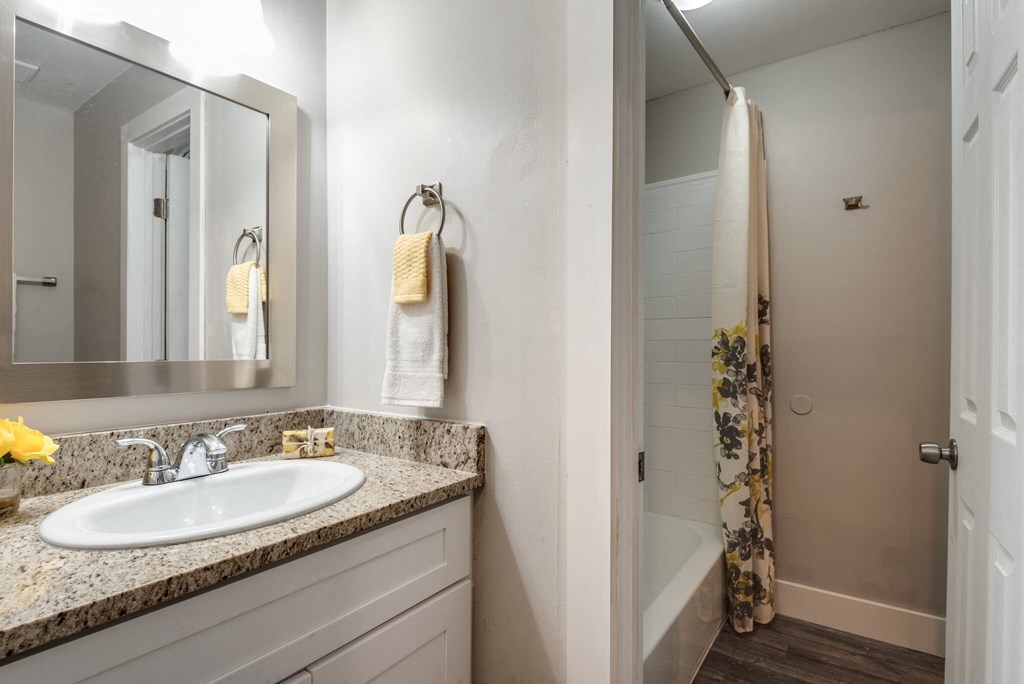 a bathroom with a sink and a shower and a mirror