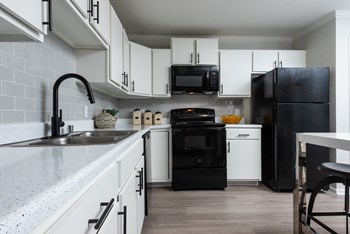 1201 East Old Settlers Blvd 1-3 Beds Apartment for Rent - Photo Gallery 2