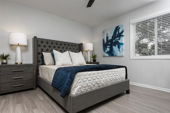 1201 East Old Settlers Blvd 1-3 Beds Apartment for Rent - Photo Gallery 3