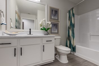 1201 East Old Settlers Blvd 1-3 Beds Apartment for Rent - Photo Gallery 5