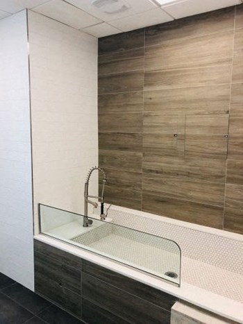 Pet Spa - Photo Gallery 28