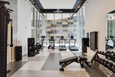 A gym with a variety of equipment including weights and treadmills.