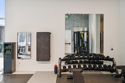 A gym with a row of dumbbells and a bench.