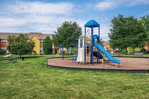 A playground with a blue slide and tower.