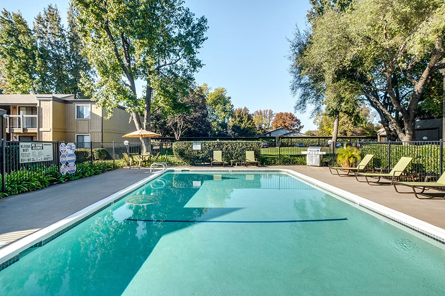 a swimming pool with chairs and trees and a building in the background