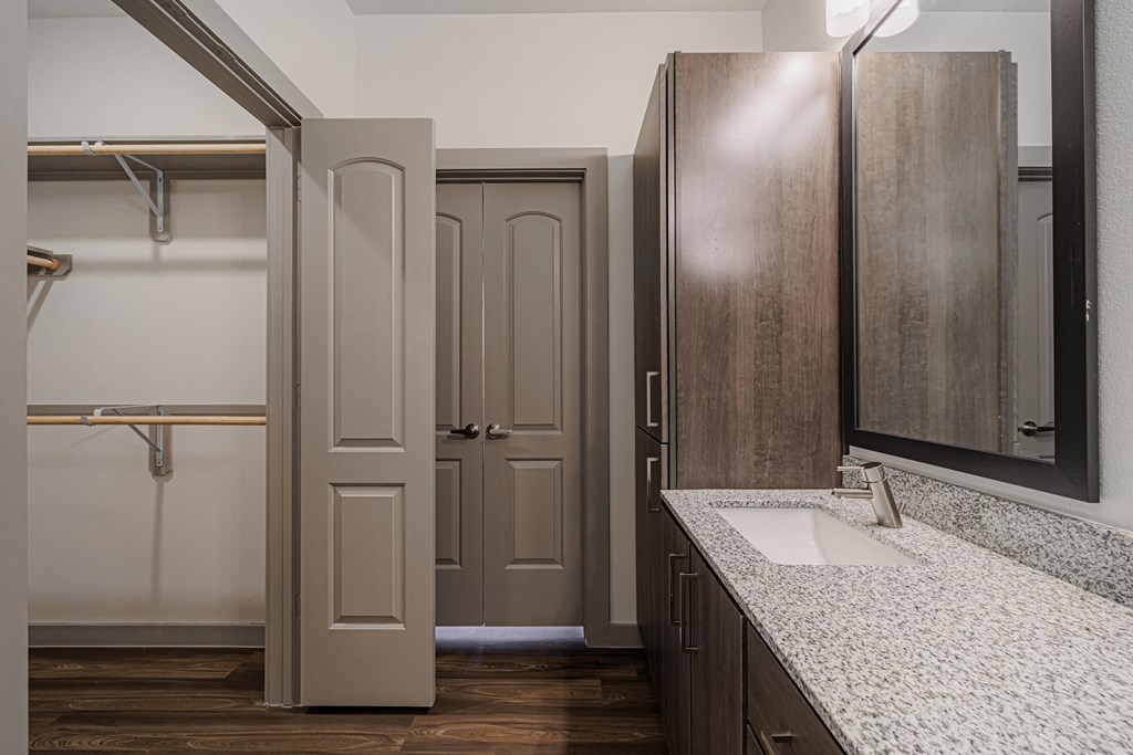 a bathroom with a sink and a mirror