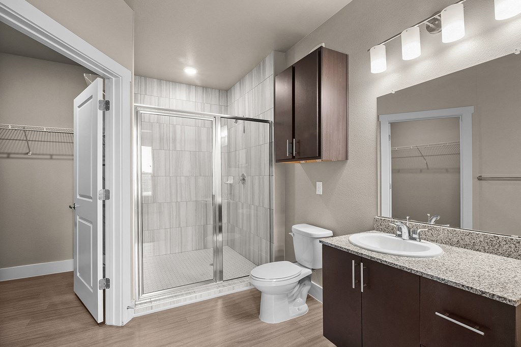 a bathroom with a shower toilet and sink and a mirror