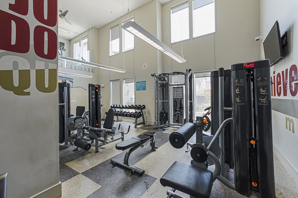 an image of a gym with weights and cardio equipment
