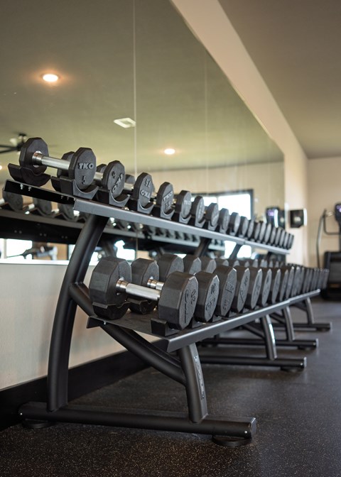 A gym with a row of dumbbells on a rack.