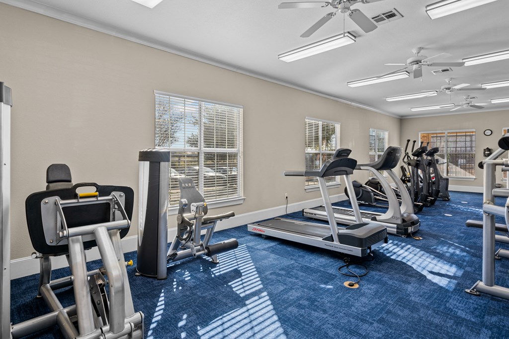 a gym with treadmills and other exercise equipment and windows