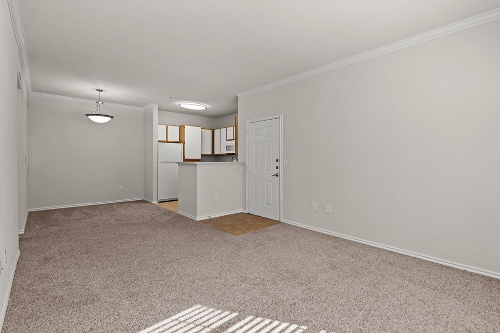 a spacious living room and kitchen with a carpeted floor and a white door