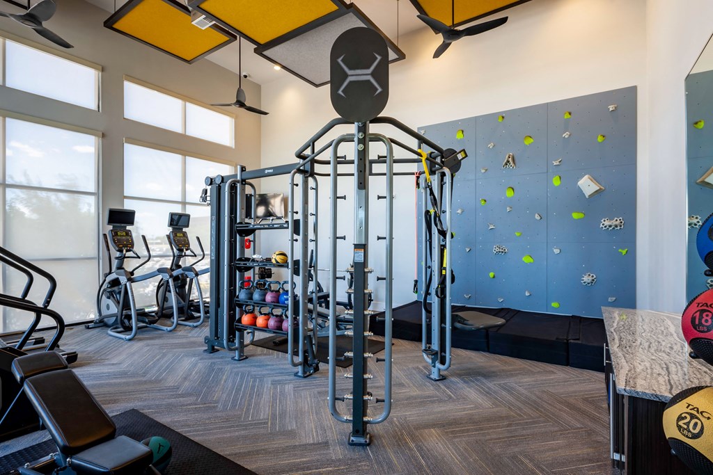 a gym with a climbing wall and exercise equipment