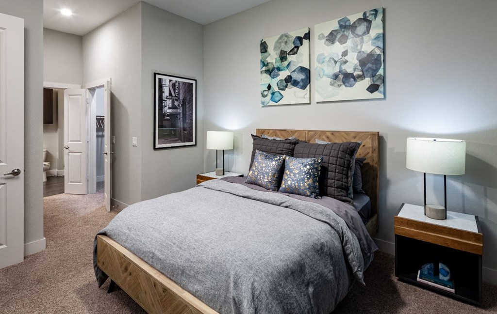 a bedroom with a bed and a closet