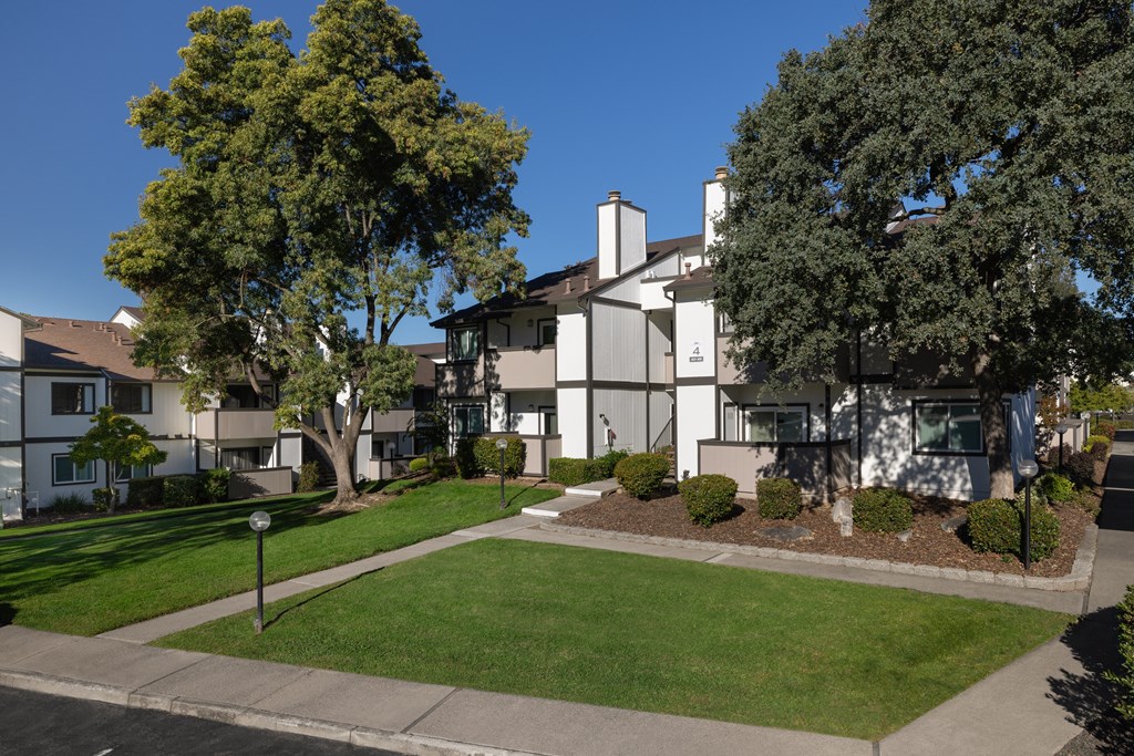 A tree in front of a building.