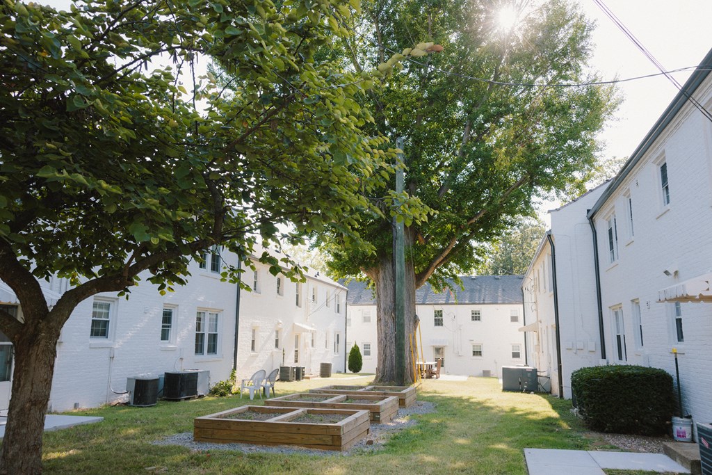 A white building with a tree in front of it.