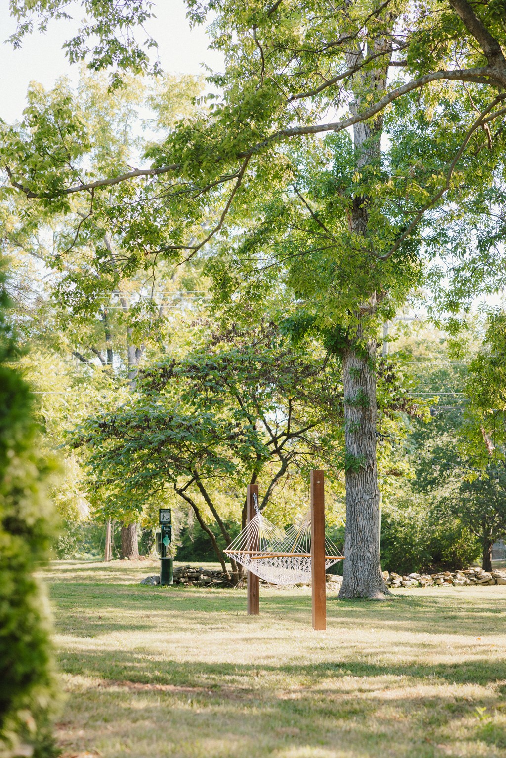 A hammock is strung between two trees in a park.