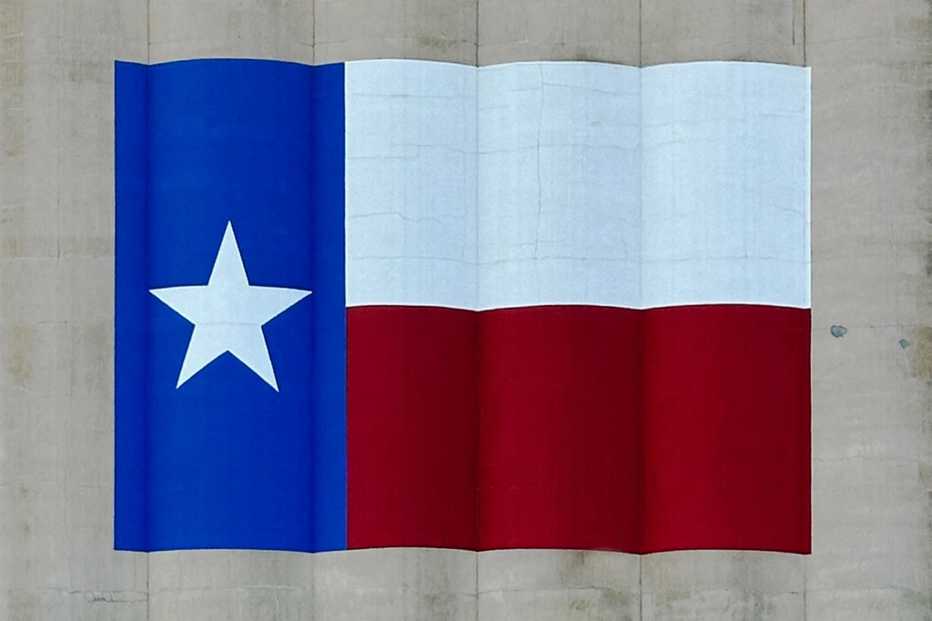 A blue, white and red flag with a star in the middle.