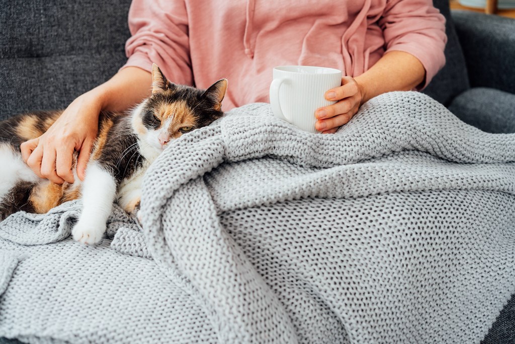 A person in a pink shirt is holding a white mug while sitting on a grey couch with a grey blanket, and a calico cat is lying on the blanket.