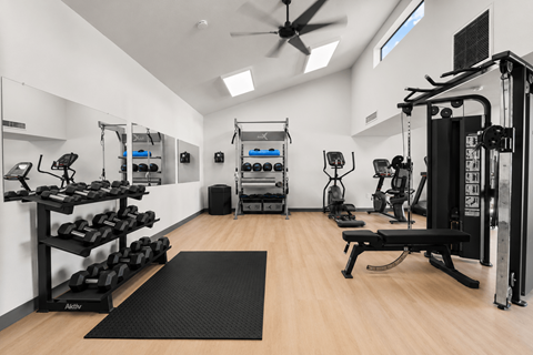 A well-equipped gym with a variety of exercise equipment.