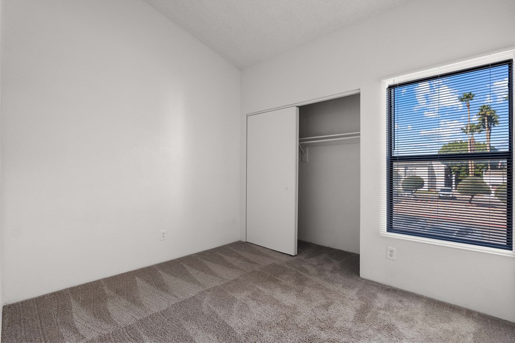 A room with a carpeted floor and a window showing a view of a street with a palm tree.