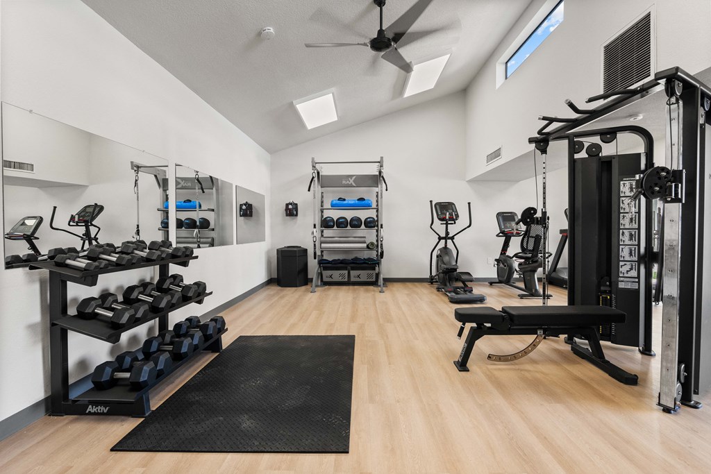 A gym with a variety of equipment including dumbbells, weight plates, and a bench press.