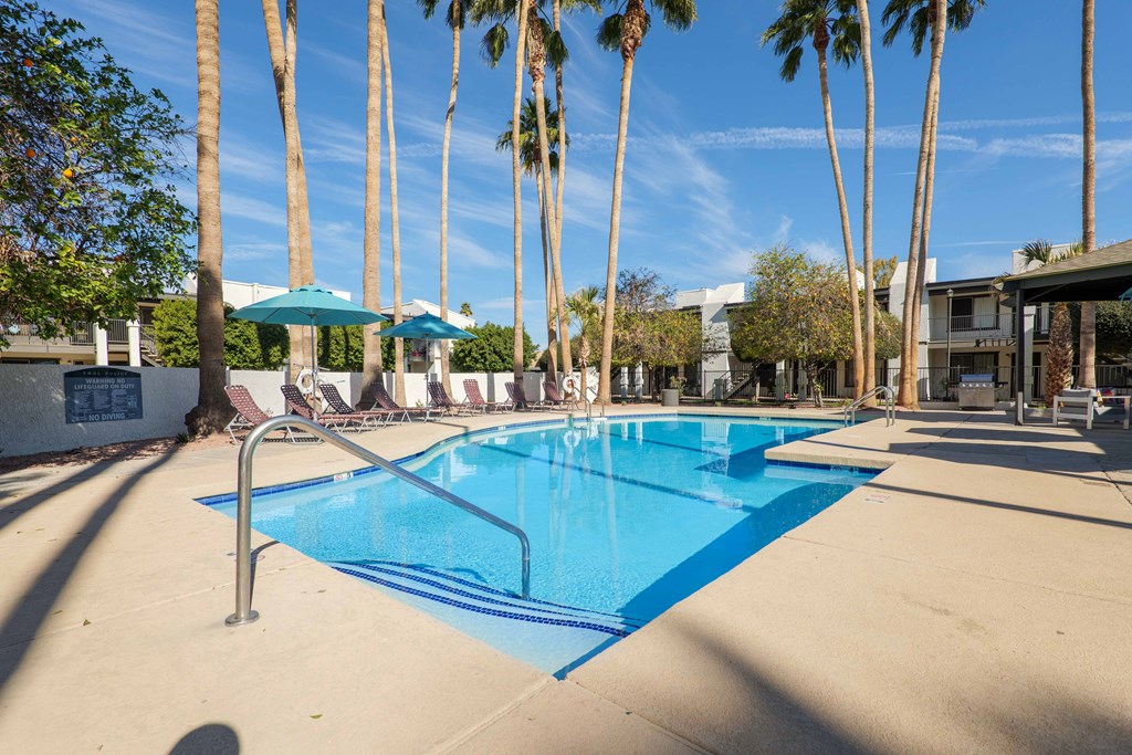 A swimming pool surrounded by palm trees and lounge chairs.