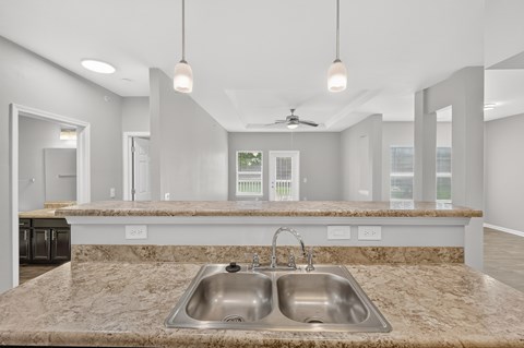 A modern kitchen with a double sink and marble countertops.
