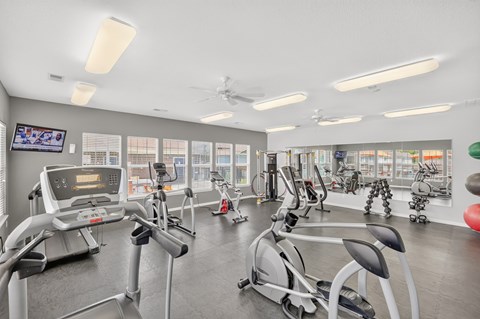 A gym with treadmills, exercise bikes, and other equipment.