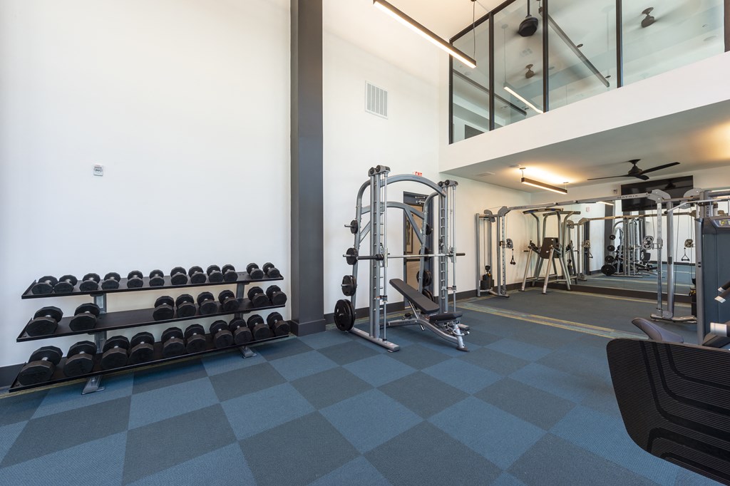 Free weights in the gym