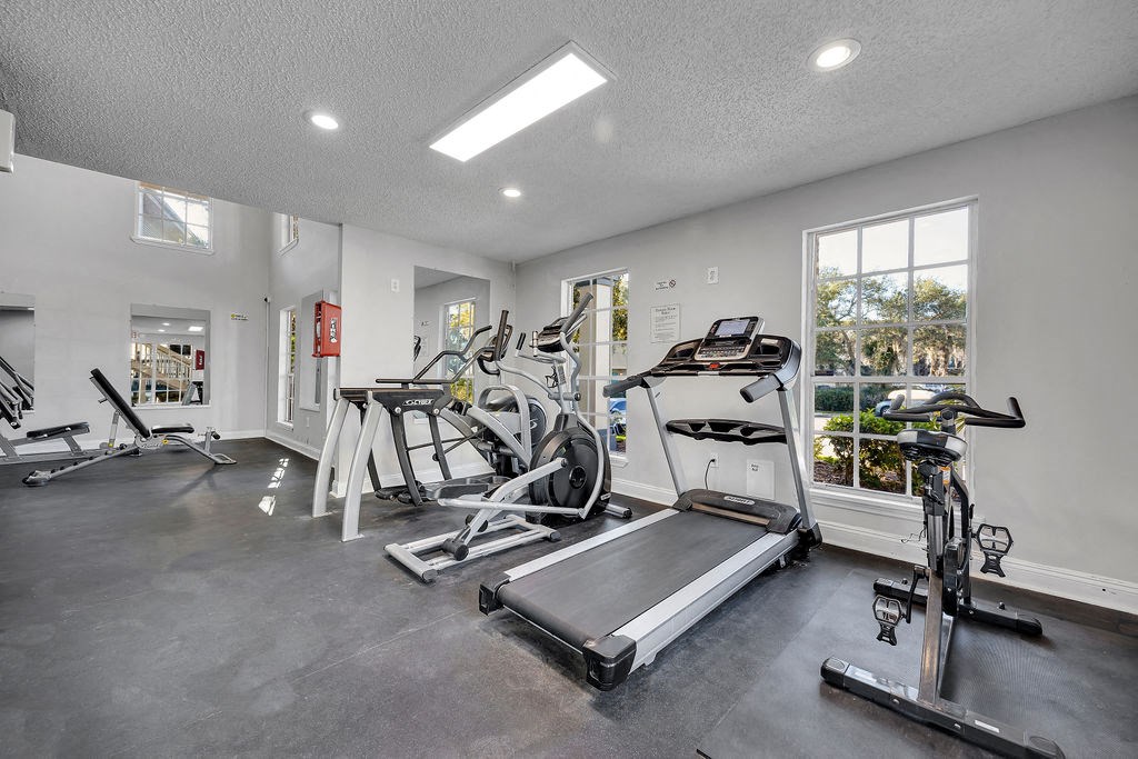 the gym in the owners home has treadmills and other exercise equipment