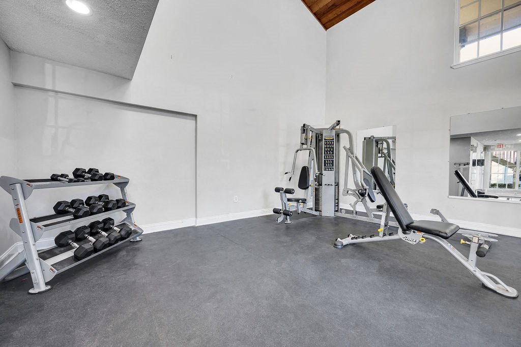 the gym in the owners home