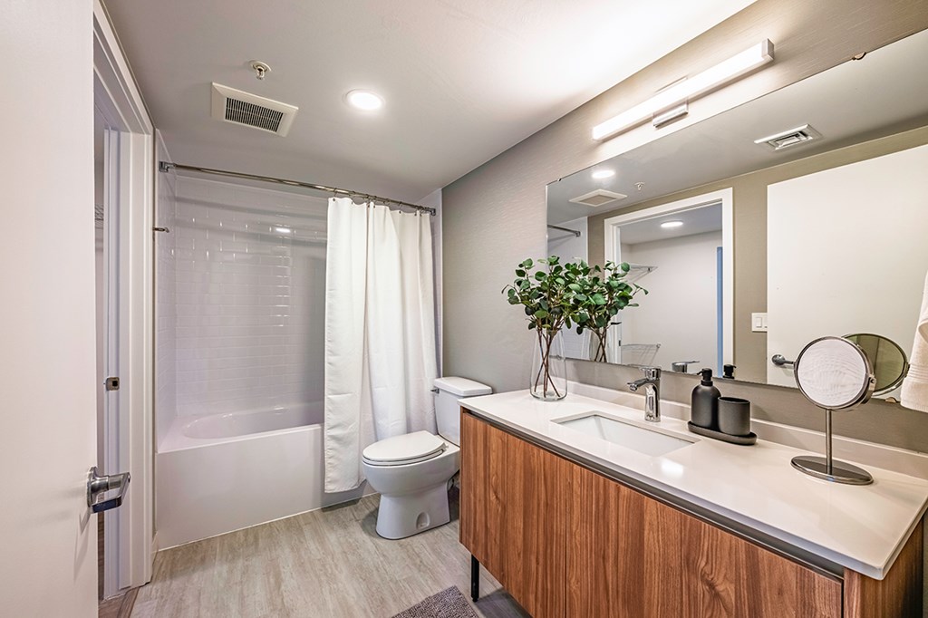 A bathroom with a white sink, toilet, and a plant on the counter.