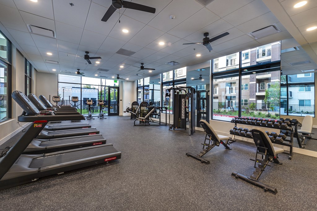 a gym with treadmills and other exercise equipment in a building with windows