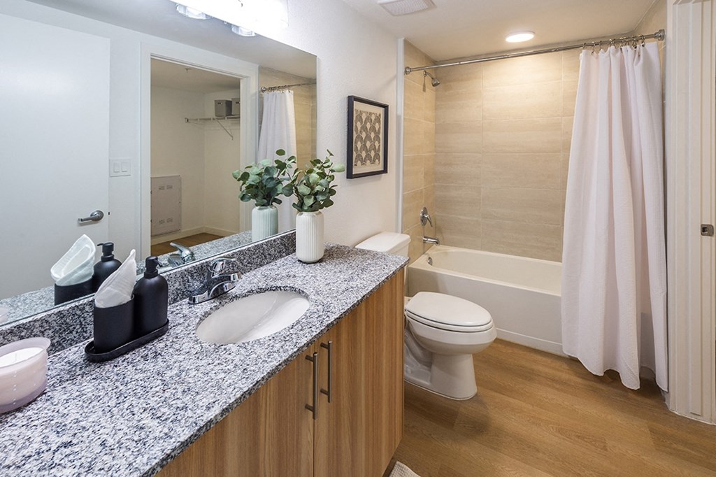 a bathroom with a sink and a toilet