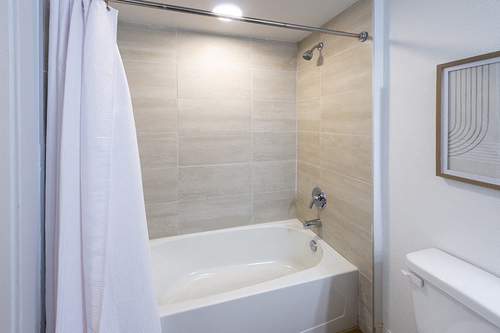 a bathroom with a tub and a shower and a toilet