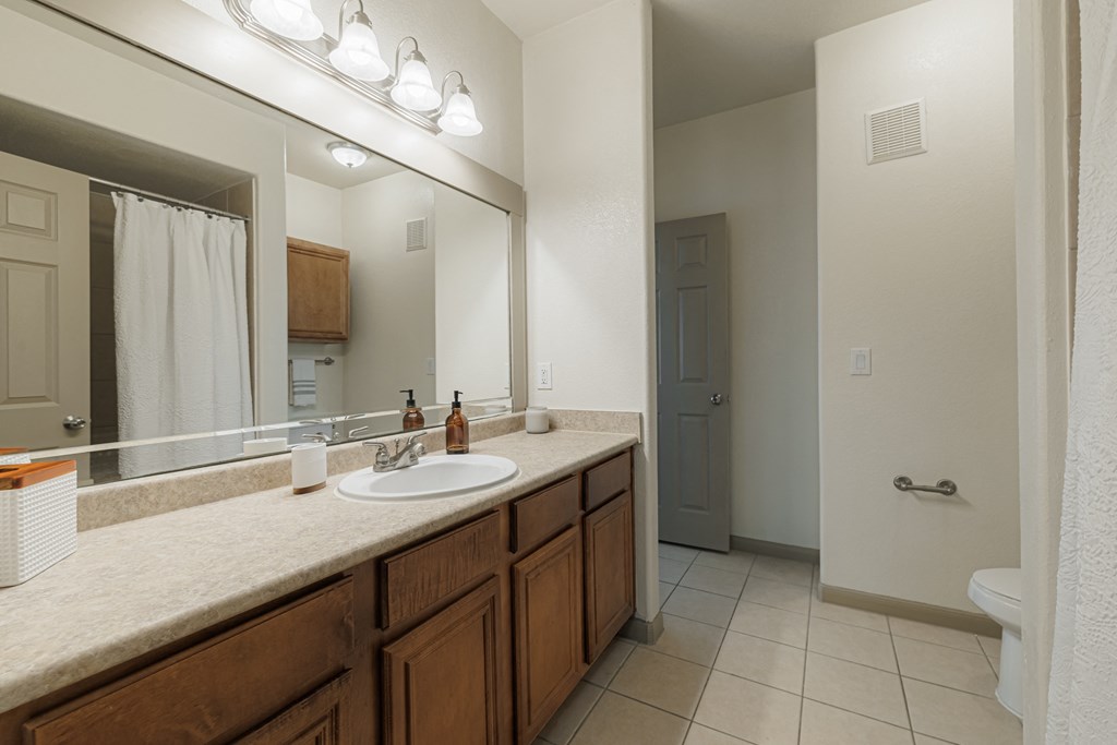 a bathroom with a sink and a mirror and a toilet