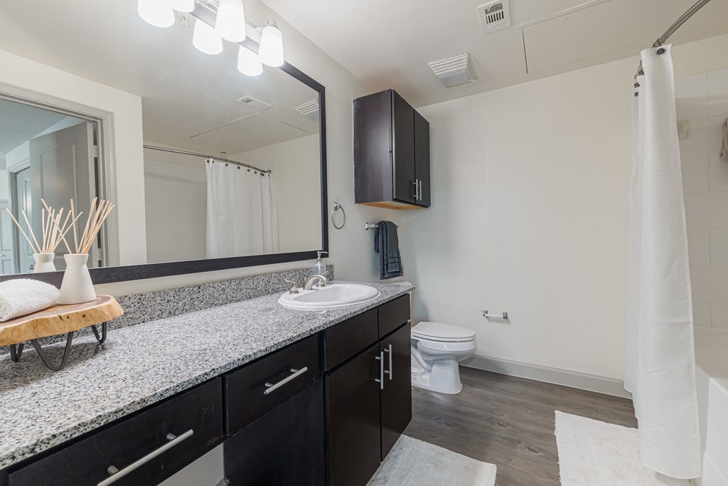 a bathroom with a sink and a mirror and a toilet