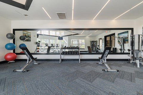 the gym at the flats