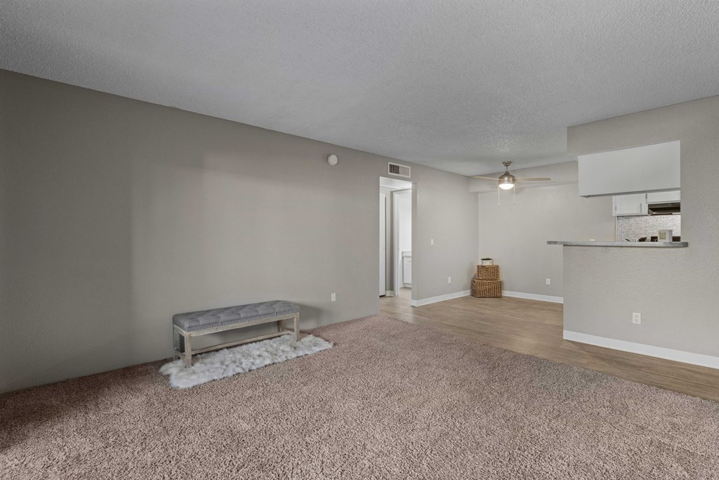 A room with a carpeted floor and a bench.