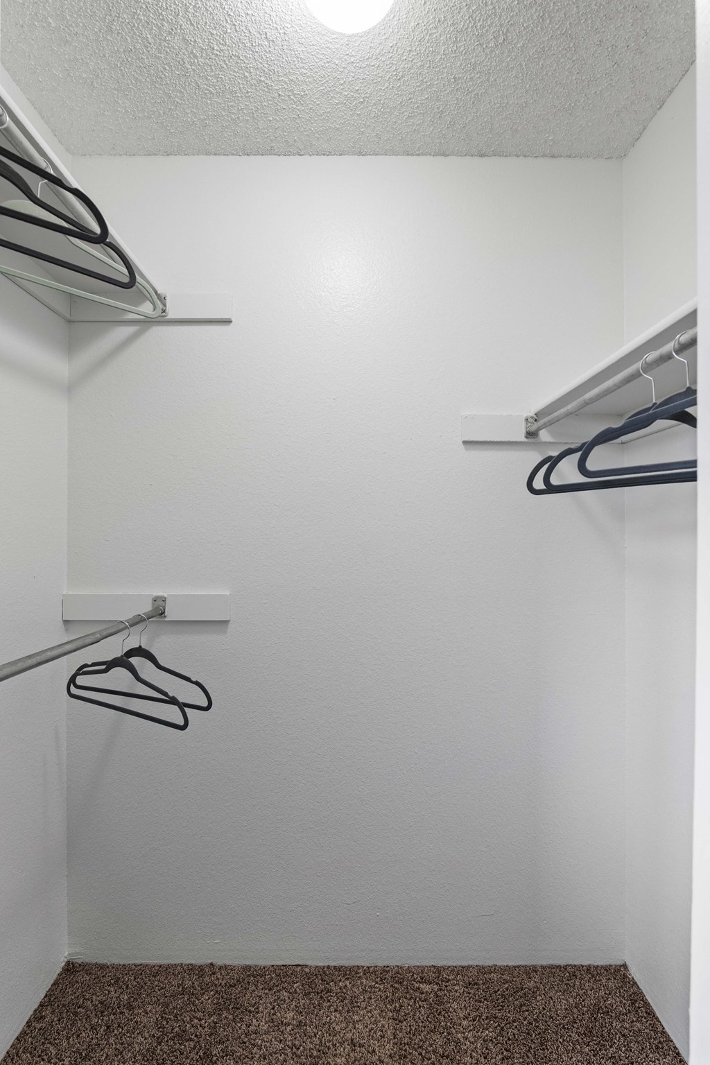 A white closet with a brown carpet and two hangers.