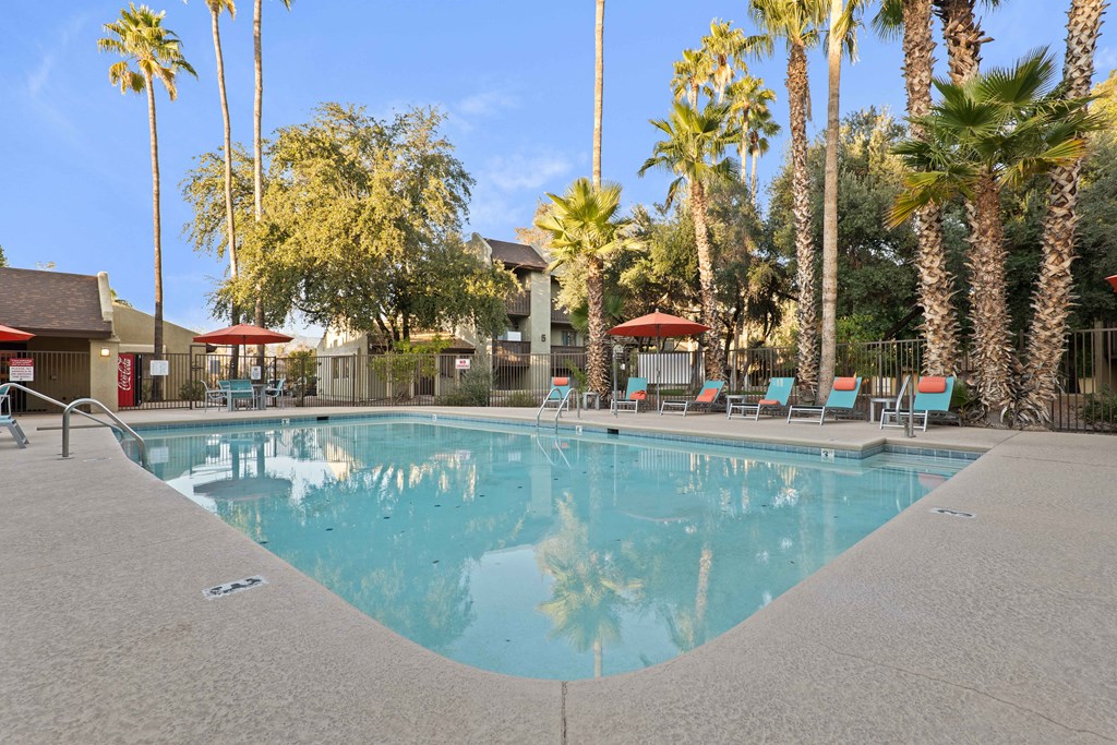 A large swimming pool surrounded by palm trees and lounge chairs.