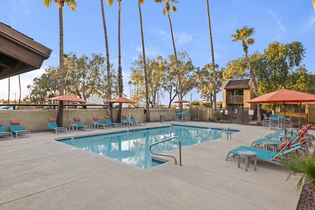 A pool surrounded by palm trees and sun loungers.