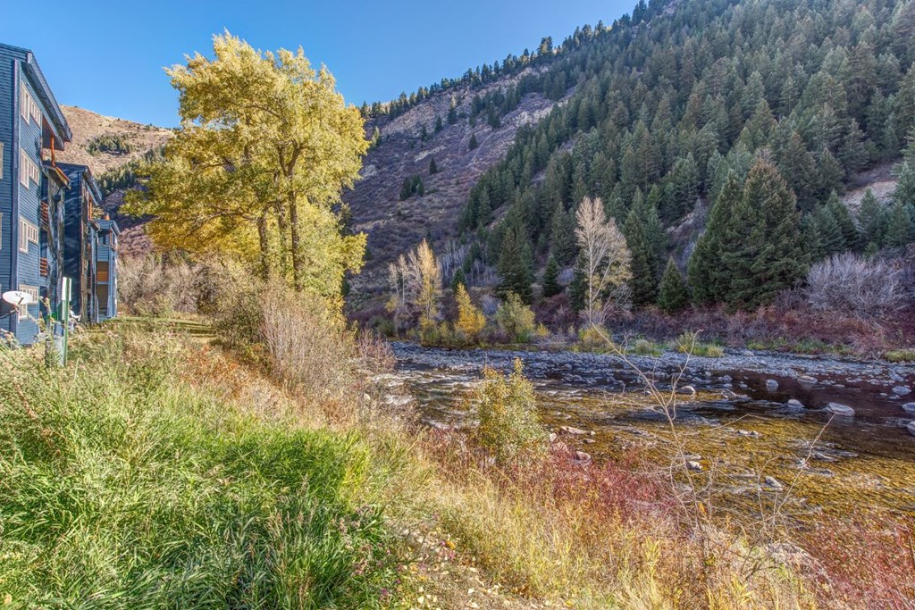 local river near our facility